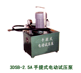 3DSB-2.5A手提式電動試壓泵 